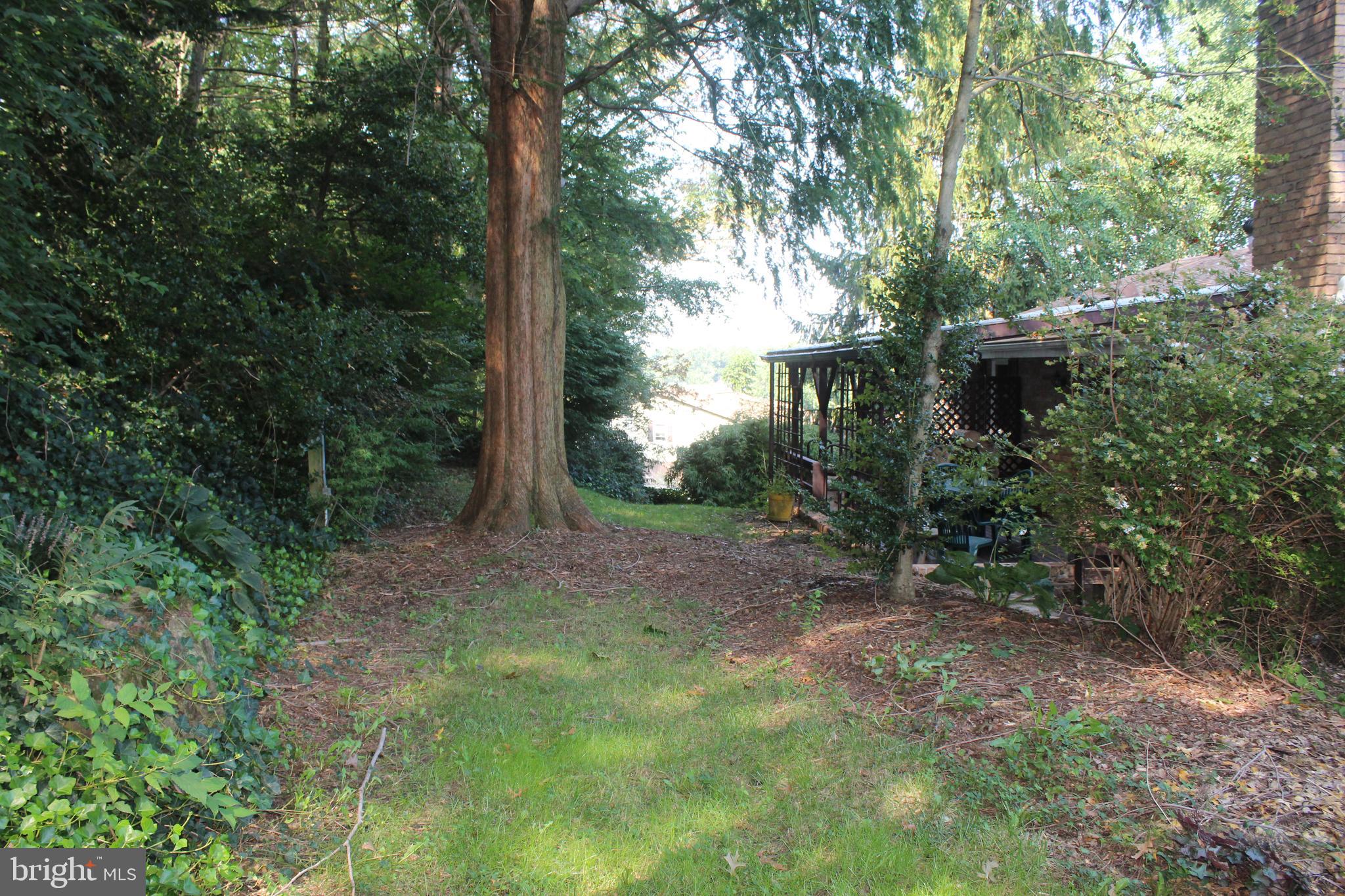 802 South Cedar Street Lititz, PA 17543 - Photo 48 of 51 Landscape
