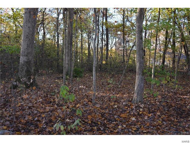 13332 Sugar Creek Road Highland, IL 62249 - Photo 1 of 2 Gallery Image 1