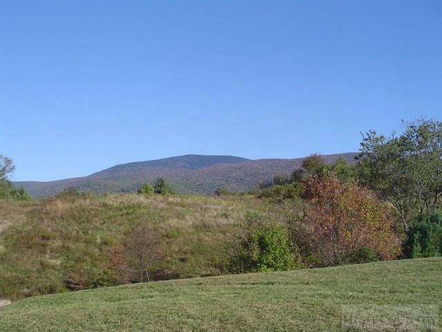 135 Laurel Valley Road Troutdale, VA 24378 - Photo 22 of 25 Gallery Image 22