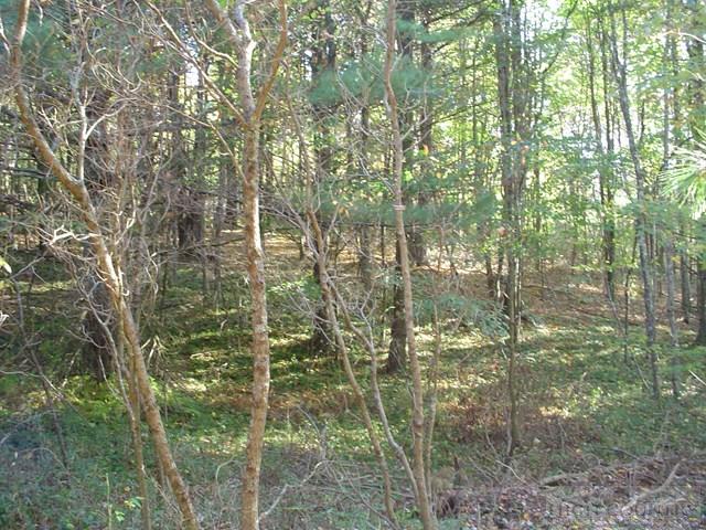 135 Laurel Valley Road Troutdale, VA 24378 - Photo 24 of 25 Gallery Image 24