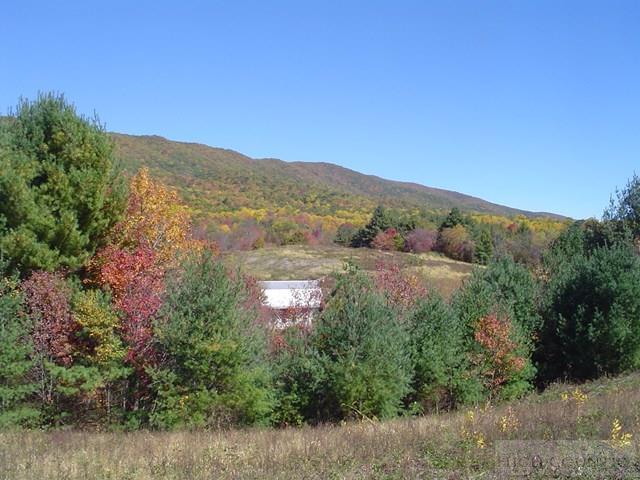 135 Laurel Valley Road Troutdale, VA 24378 - Photo 3 of 25 Gallery Image 3