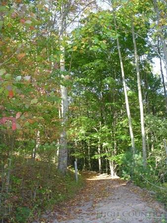 135 Laurel Valley Road Troutdale, VA 24378 - Photo 4 of 25 Gallery Image 4