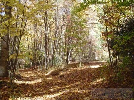 135 Laurel Valley Road Troutdale, VA 24378 - Photo 5 of 25 Gallery Image 5