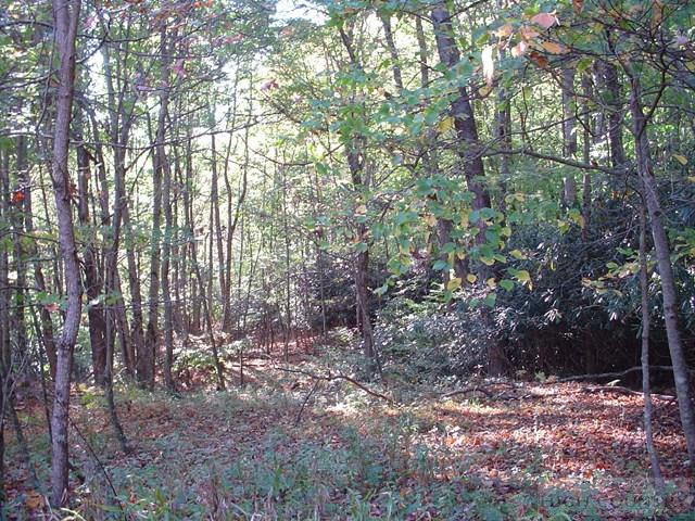 135 Laurel Valley Road Troutdale, VA 24378 - Photo 6 of 25 Gallery Image 6