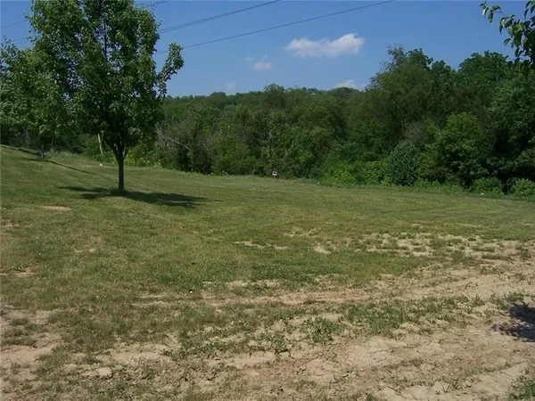 a view of a field with trees in background