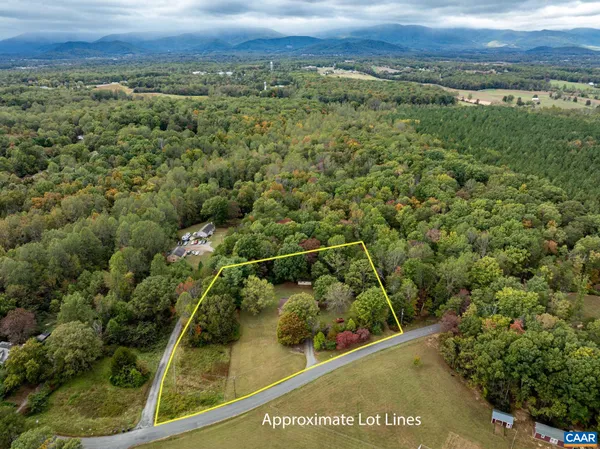 a view of a lush green forest with lots of trees
