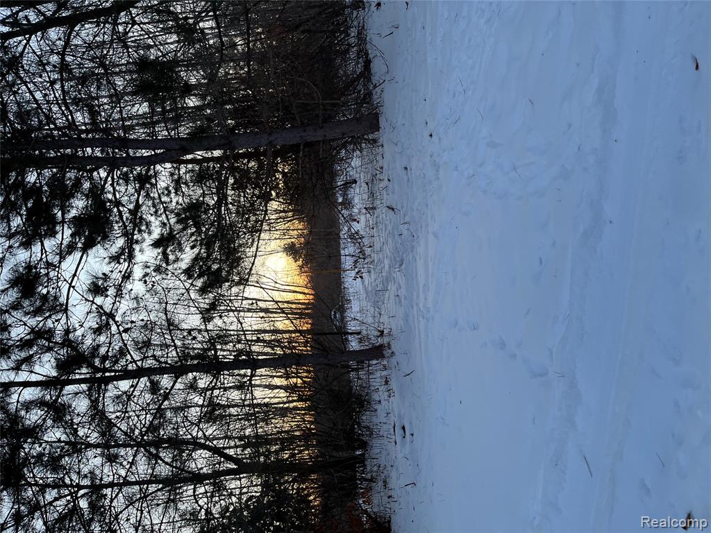3000 South Genuine Road Mount Pleasant, MI 48858 - Photo 2 of 5