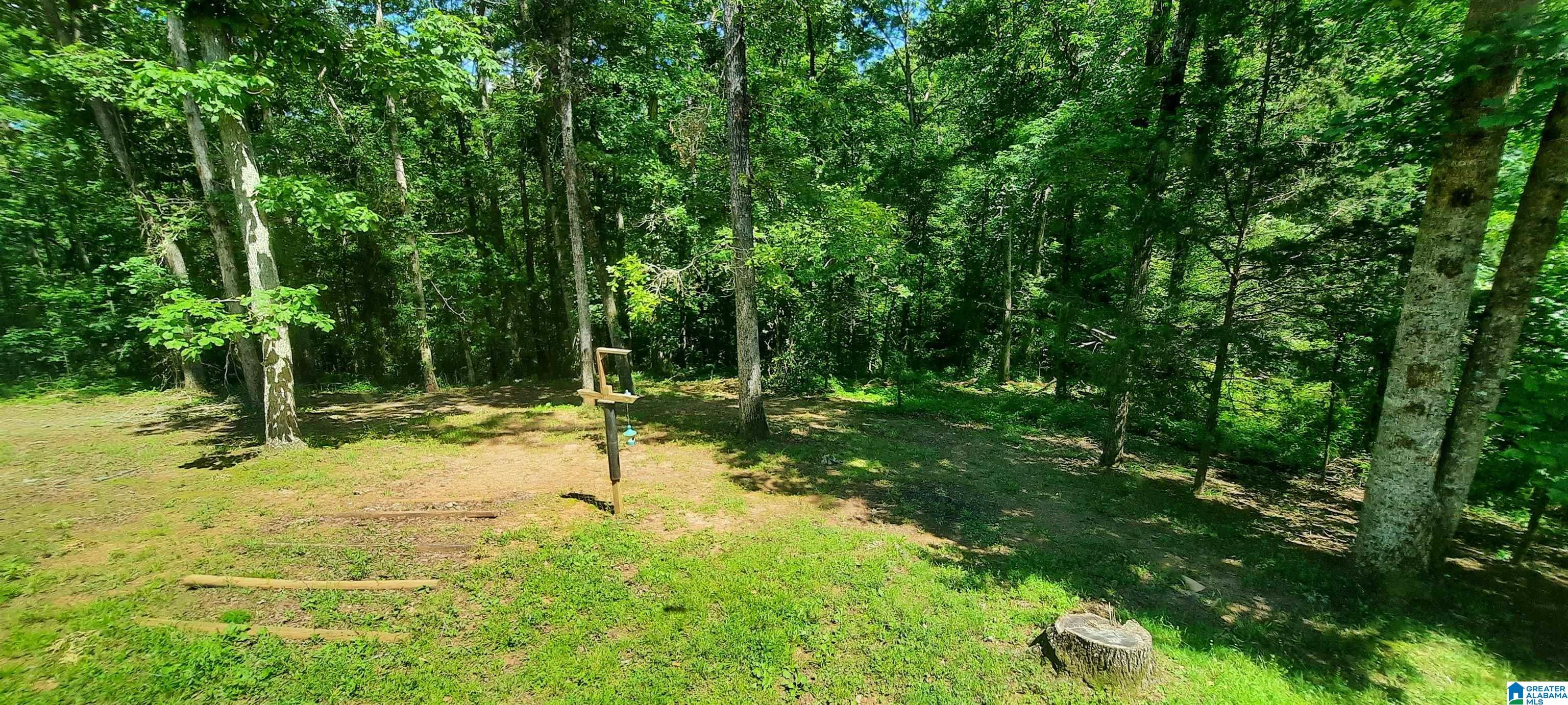 106 Roberts Circle Wedowee, AL 36278 - Photo 41 of 62