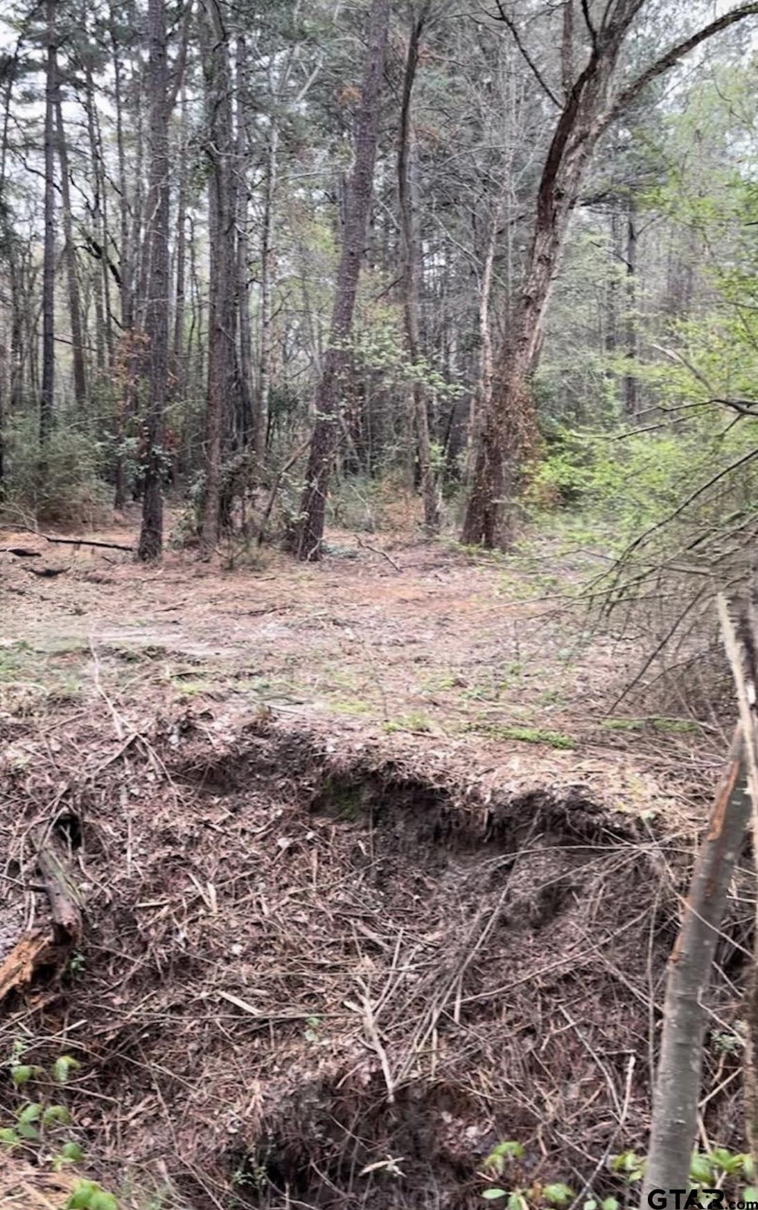 5152 Shiloh Ridge Drive Tyler, TX 75703 - Photo 11 of 13 a view of a yard with trees