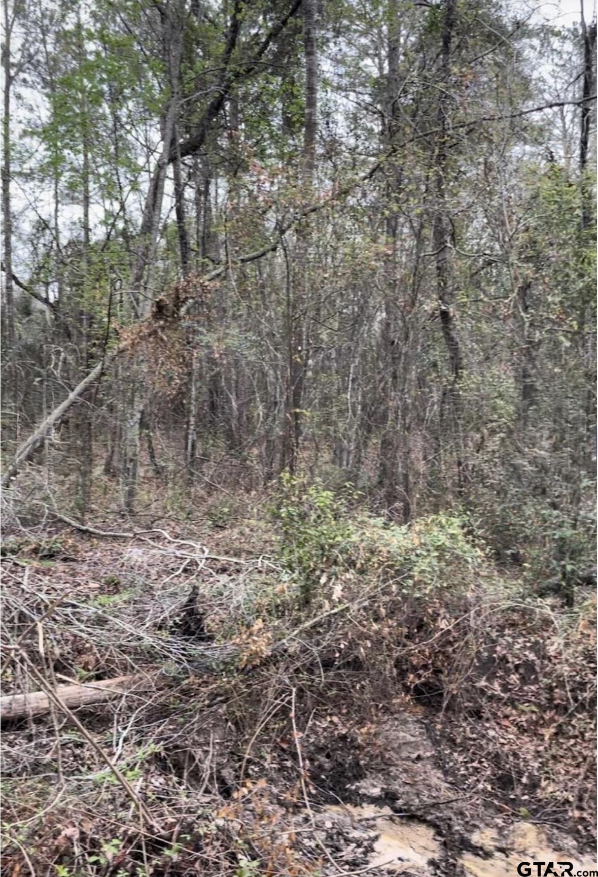 5152 Shiloh Ridge Drive Tyler, TX 75703 - Photo 12 of 13 a view of a yard