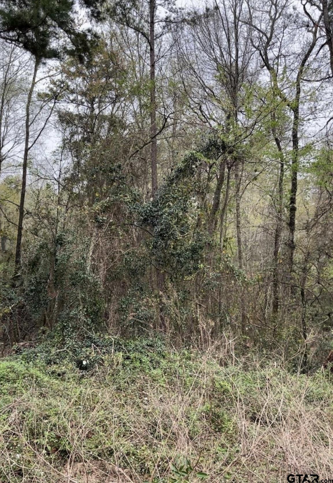 5152 Shiloh Ridge Drive Tyler, TX 75703 - Photo 2 of 13 a view of a yard with a tree