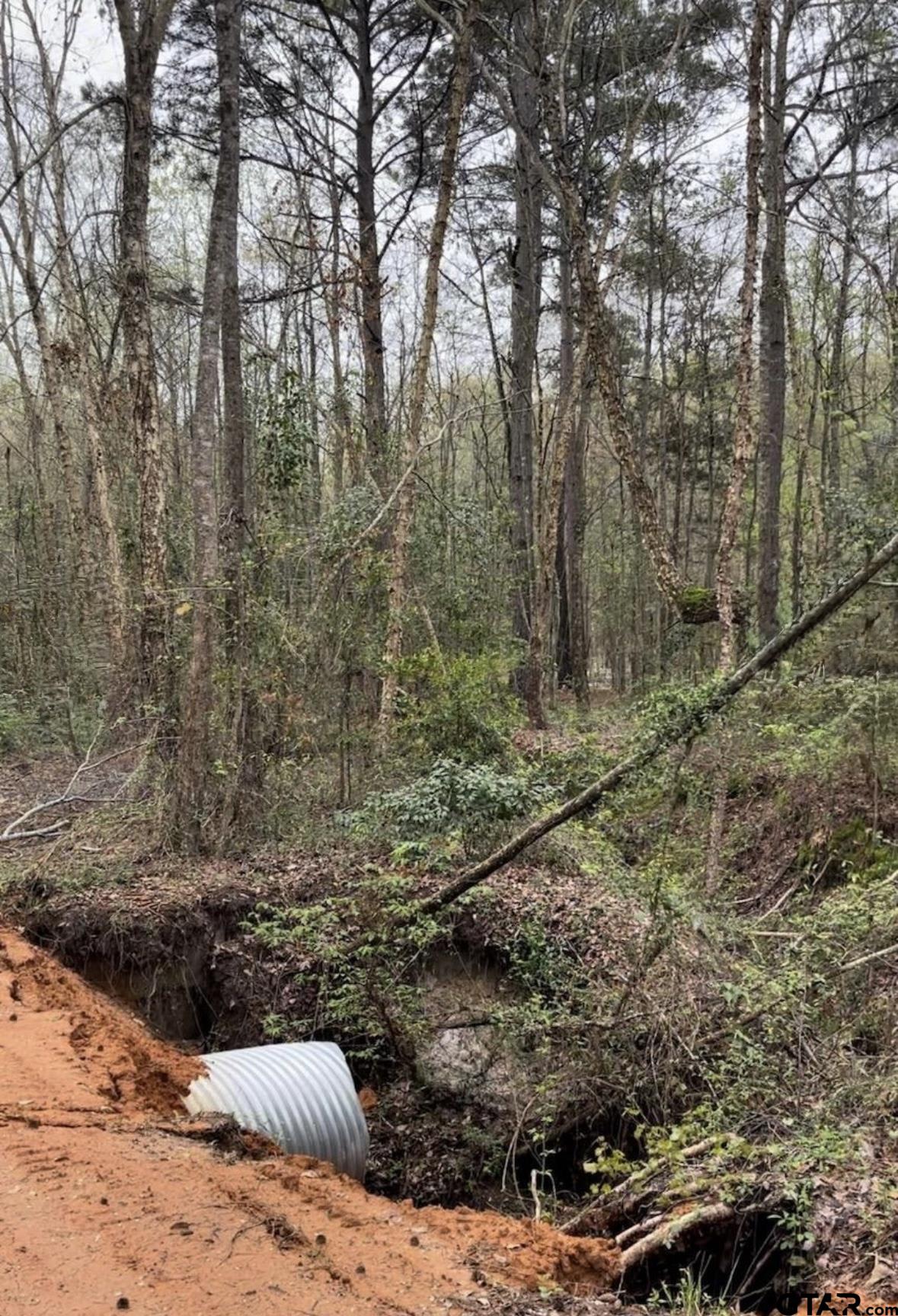 5152 Shiloh Ridge Drive Tyler, TX 75703 - Photo 5 of 13 a view of backyard with green space
