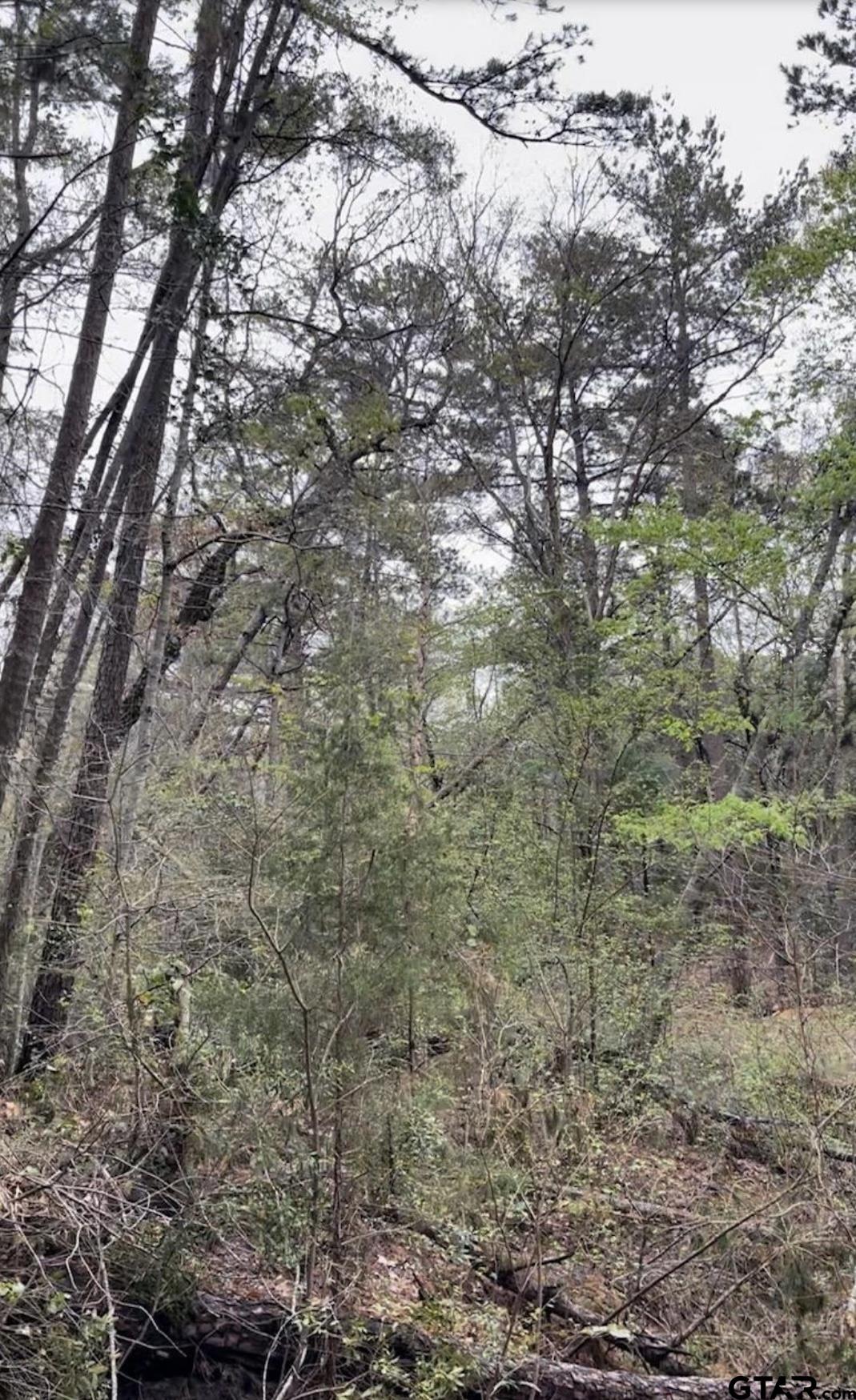 5152 Shiloh Ridge Drive Tyler, TX 75703 - Photo 8 of 13 a aerial view of a house with a yard