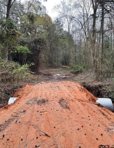 a view of a yard with trees