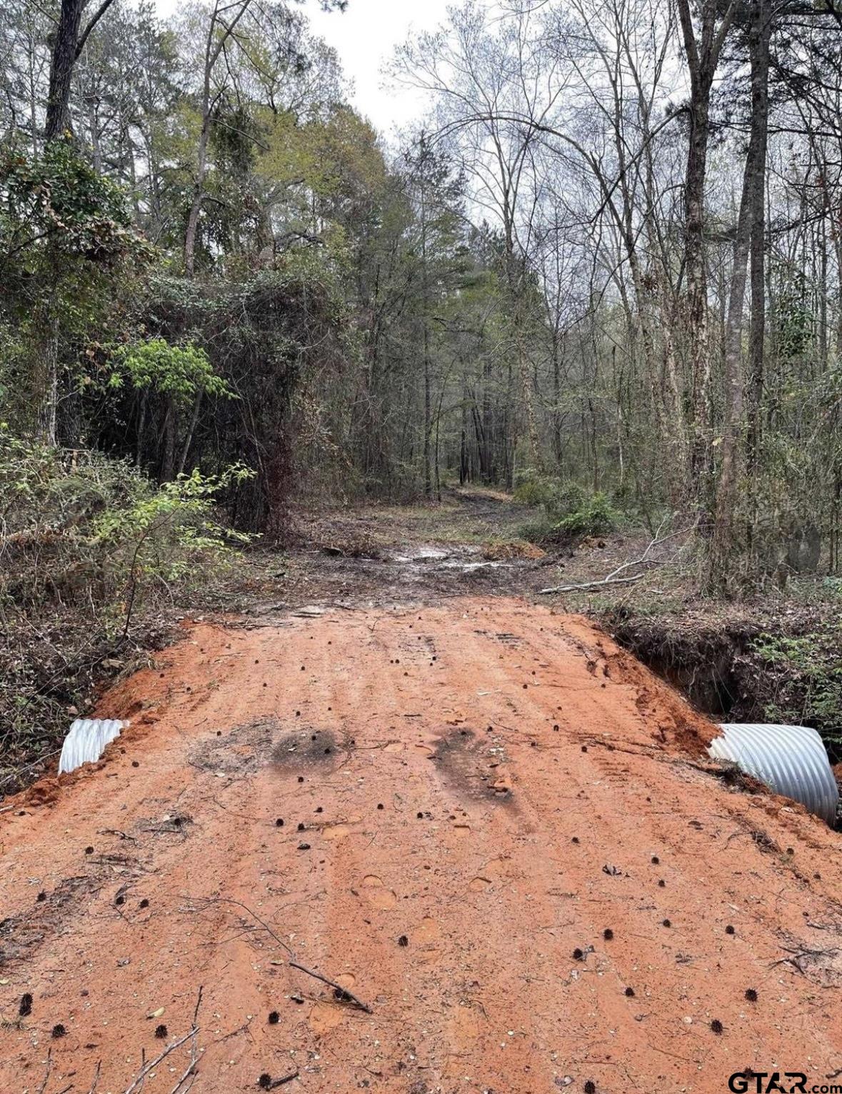 5152 Shiloh Ridge Drive Tyler, TX 75703 - Photo 10 of 13 a view of a backyard with trees