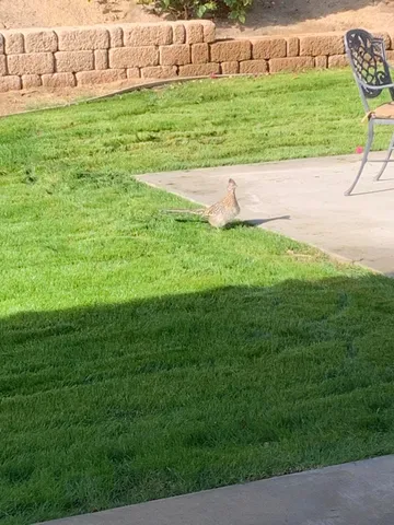 a view of a outdoor seating area
