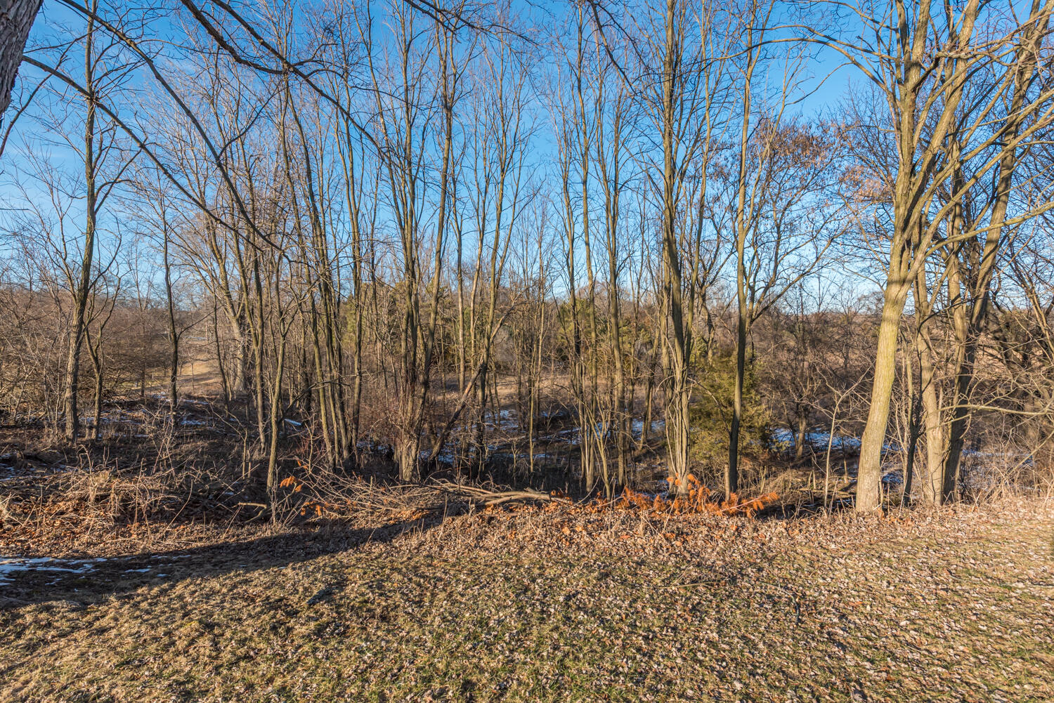 19820 Ivey Road Chelsea, MI 48118 - Photo 4 of 47 _D755575_MLS