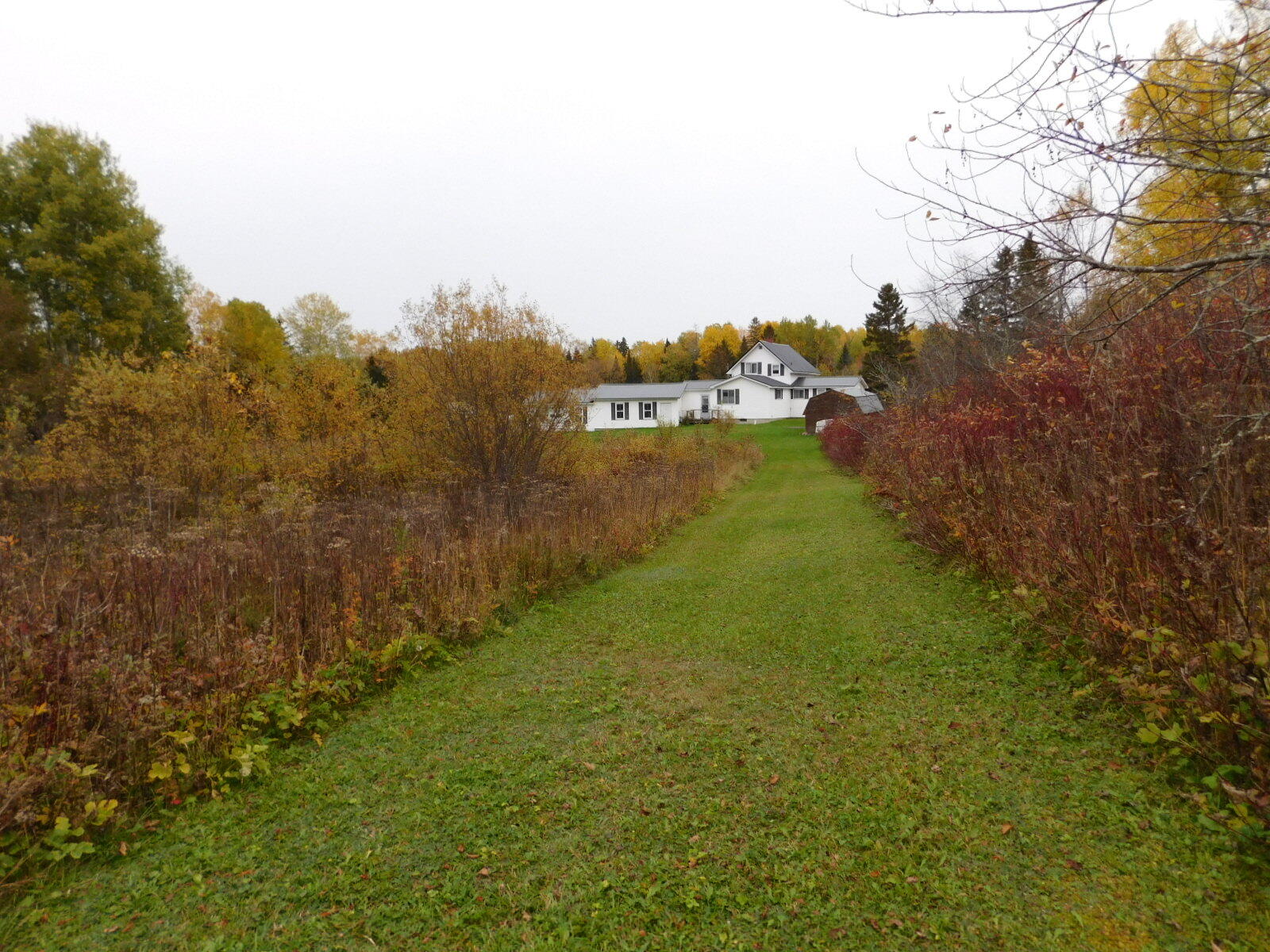 1020 Frenchville Road Ashland, ME 04732 - Photo 52 of 63 DSCN9366