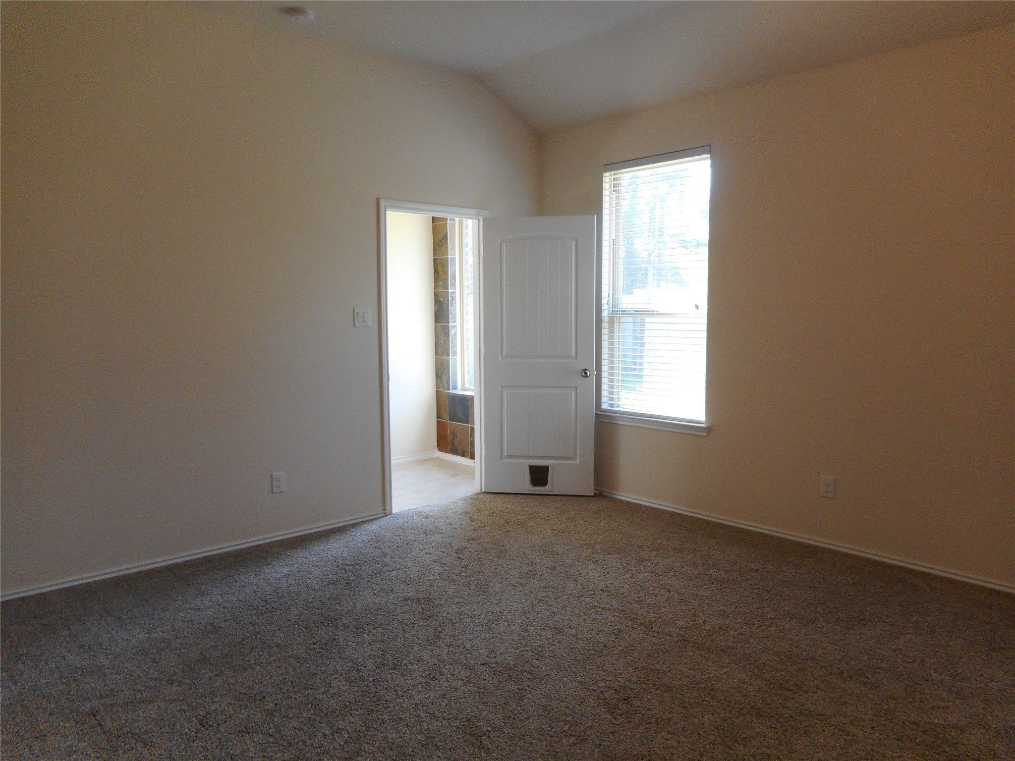 14021 Buffalo Gap Trail Conroe, TX 77384 - Photo 17 of 20 an empty room with windows