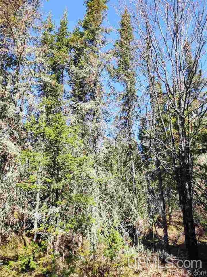 Tbd Forest Hwy 16 Road Iron River, MI 49935 - Photo 34 of 49