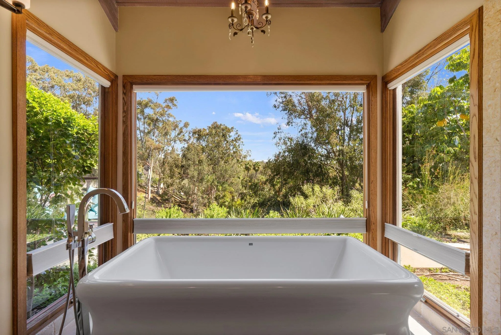 6286 Avenida Floresta Rancho Santa Fe, CA 92067 - Photo 20 of 69