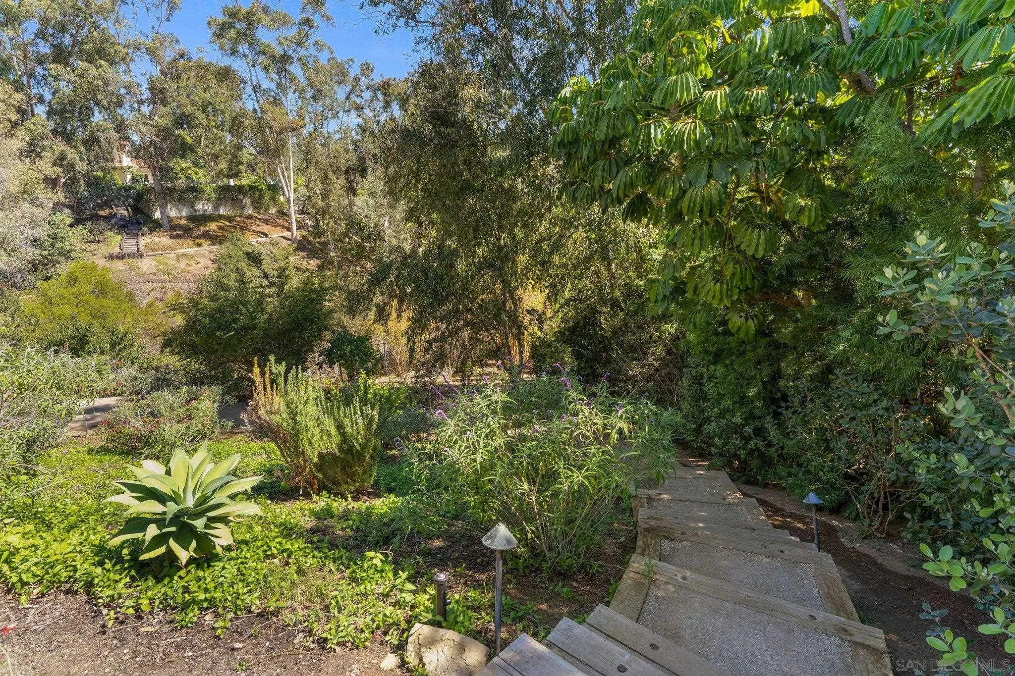 6286 Avenida Floresta Rancho Santa Fe, CA 92067 - Photo 61 of 69 a view of a garden with plants