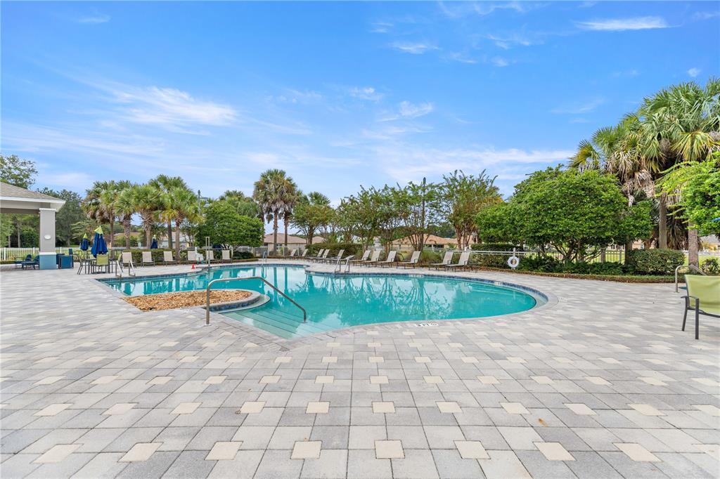 8084 South W 81st Loop Ocala, FL 34476 - Photo 35 of 37 a view of a swimming pool with a yard and plants