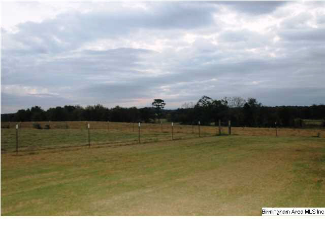85 Sterling Road Eastaboga, AL 36260 - Photo 25 of 30