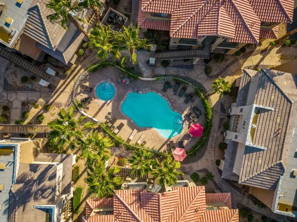 a view of a swimming pool with a patio and plants