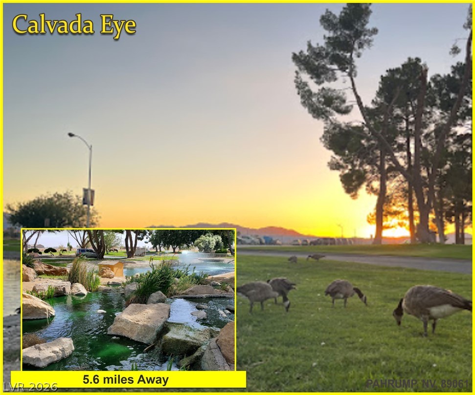 4650 Manse Road Pahrump, NV 89061 - Photo 29 of 66