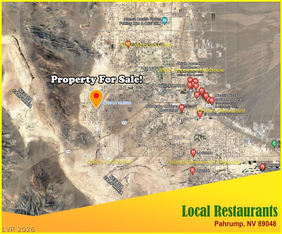 4650 Manse Road Pahrump, NV 89061 - Photo 48 of 66