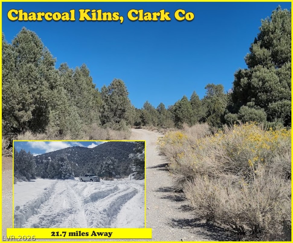 4650 Manse Road Pahrump, NV 89061 - Photo 64 of 66