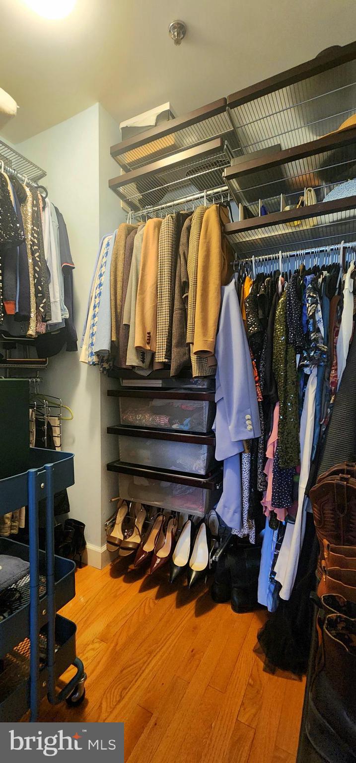 5563 Seminary Road, Unit 303 Falls Church, VA 22041 - Photo 6 of 10 Walk in Closet