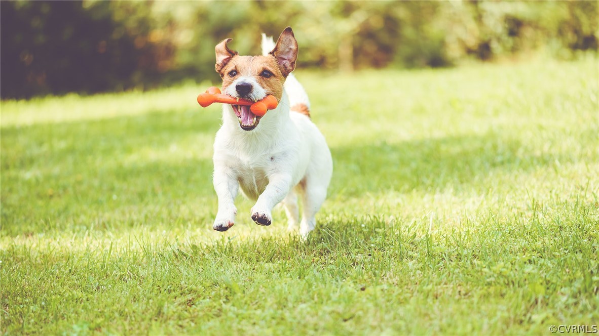 607 Rivanna Hill Road Glen Allen, VA 23060 - Photo 27 of 30 a view of kitchen with green space