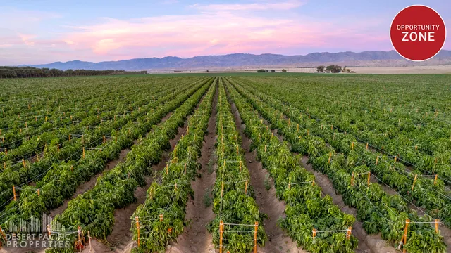 a view of a city with lush green forest
