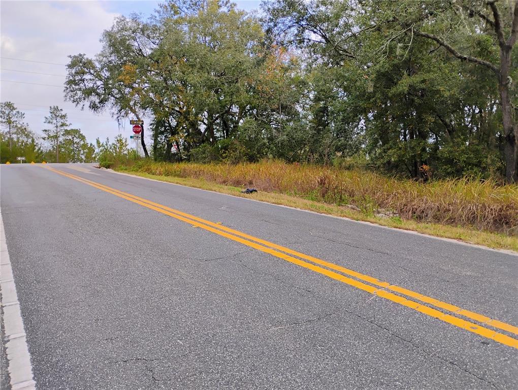 0 Keuka Road Interlachen, FL 32148 - Photo 4 of 5