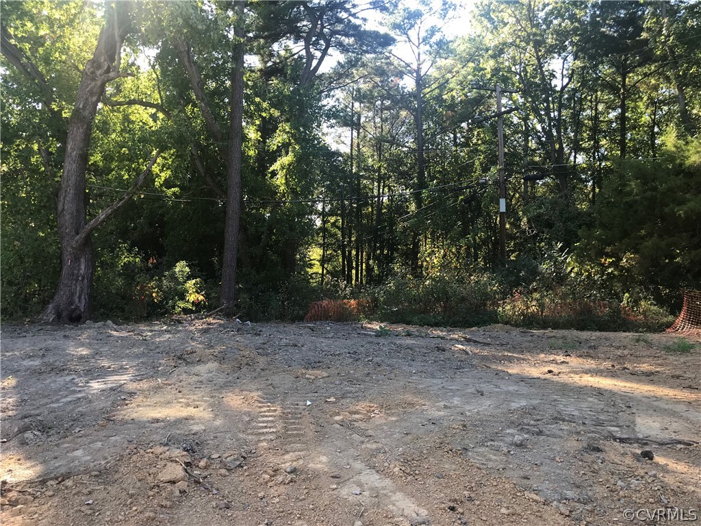 9907 Three Chopt Road Henrico, VA 23229 - Photo 2 of 2 Private backyard