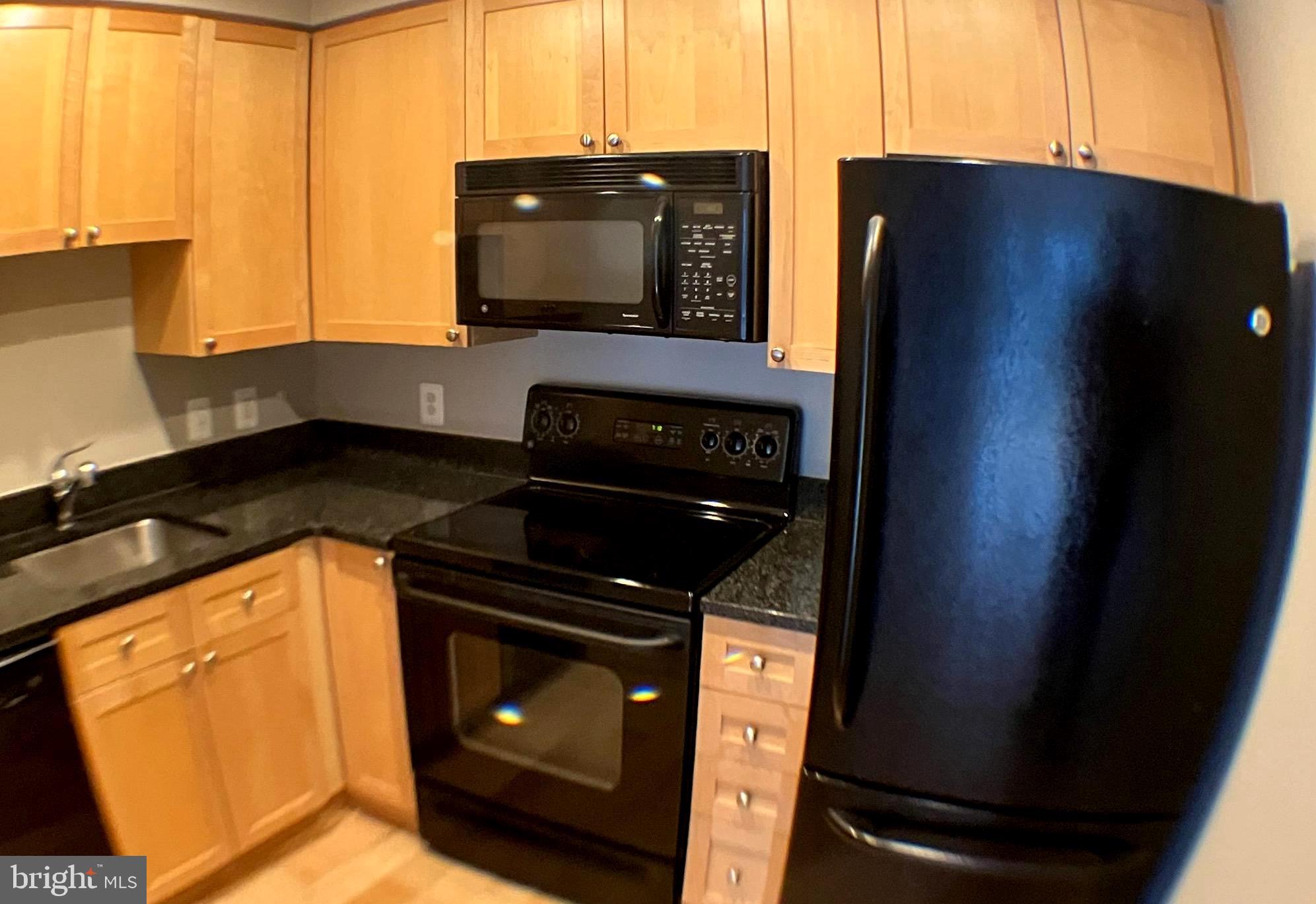 2001 15th Street North, Unit 319 Arlington, VA 22201 - Photo 10 of 19 a kitchen with a stove and a microwave