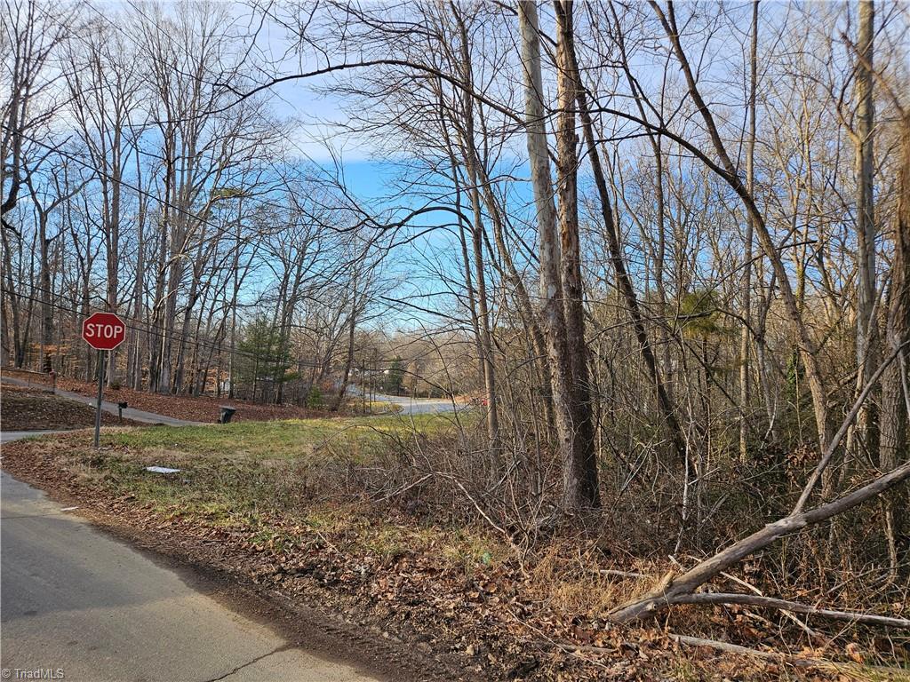 0 South Fieldcrest Road Eden, NC 27288 - Photo 2 of 3 Fieldcrest & Stovall