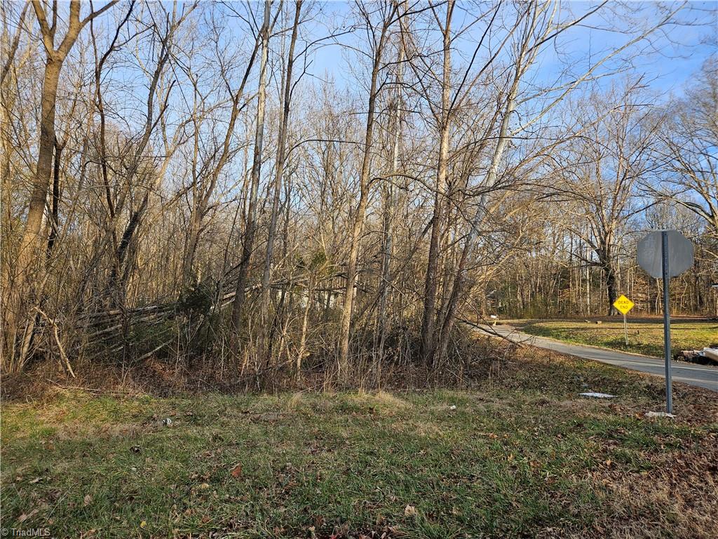 0 South Fieldcrest Road Eden, NC 27288 - Photo 3 of 3 Stovall St frontage