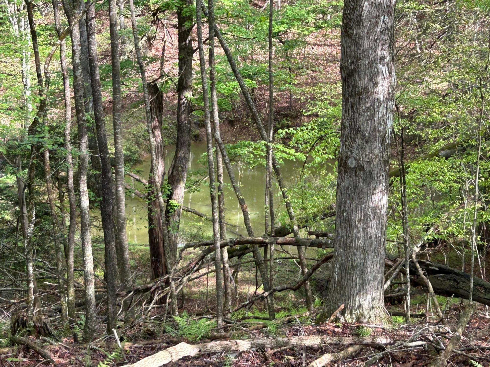 2991 Brownsburg Road Marlinton, WV 24954 - Photo 52 of 87 Gallery Image 52