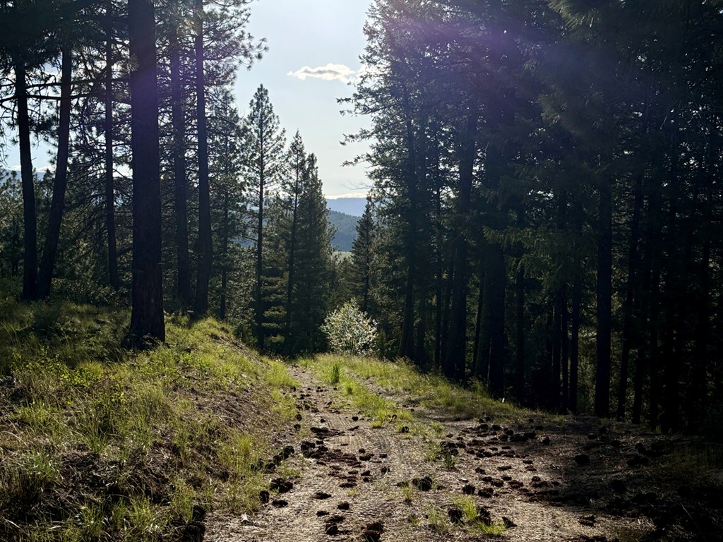 18 Tito Trail, Unit 8 Cascade, ID 83611 - Photo 7 of 10 Road up to Property