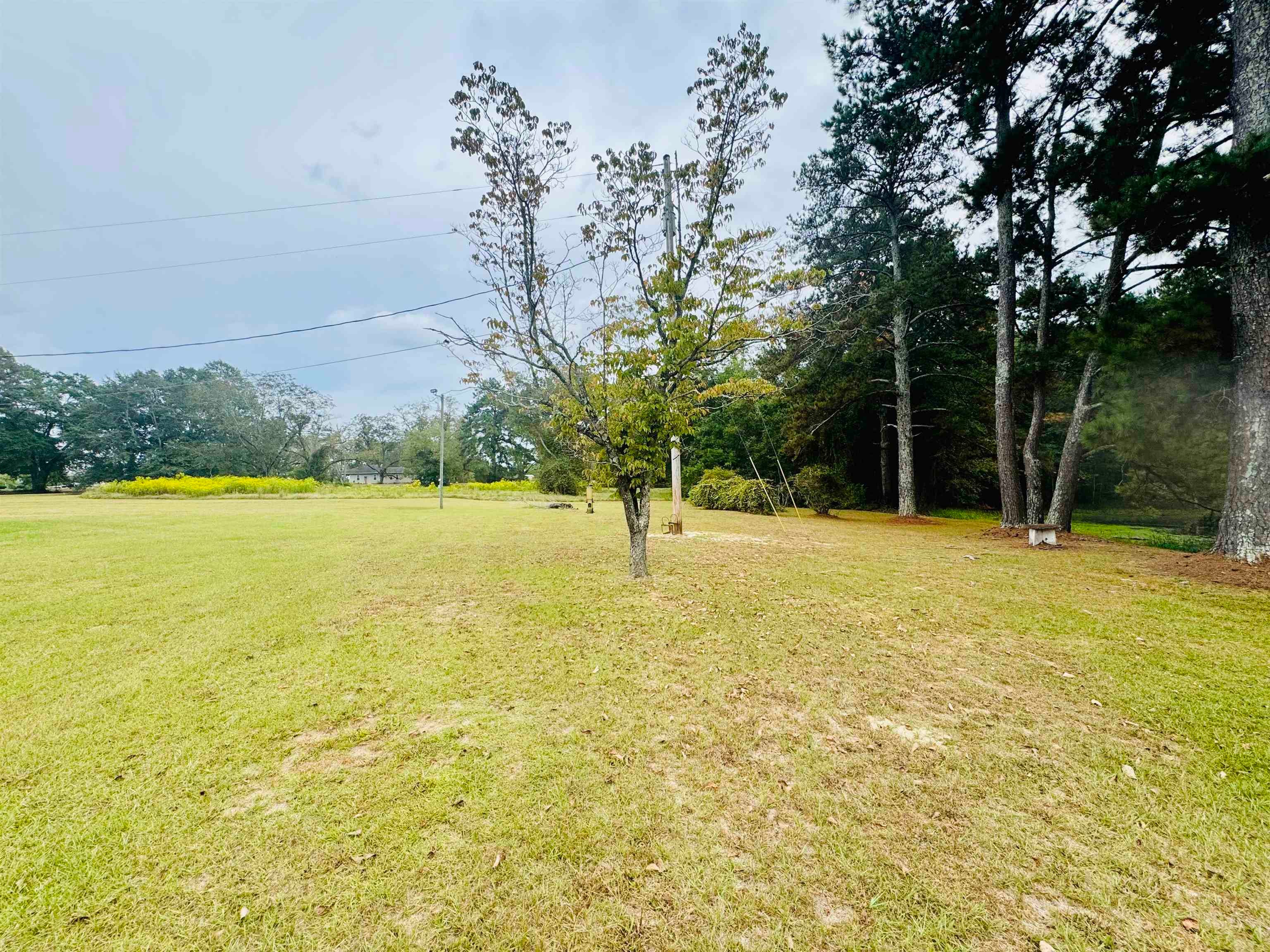 22737 Fleeta Road Opp, AL 36467 - Photo 36 of 37 Gallery Image 36