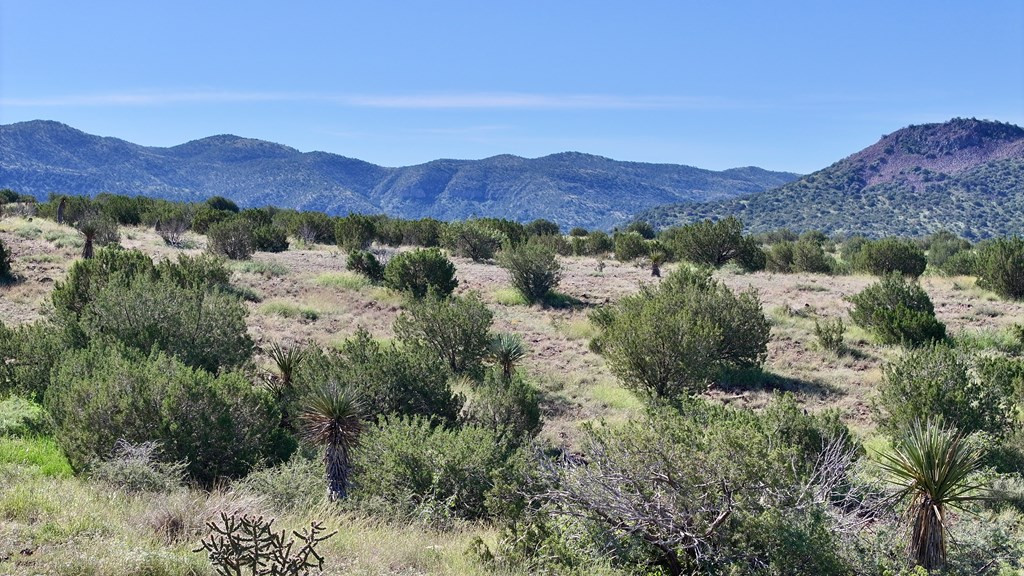 111 Sierra La Rana Alpine, TX 79830 - Photo 7 of 13 Photo 7