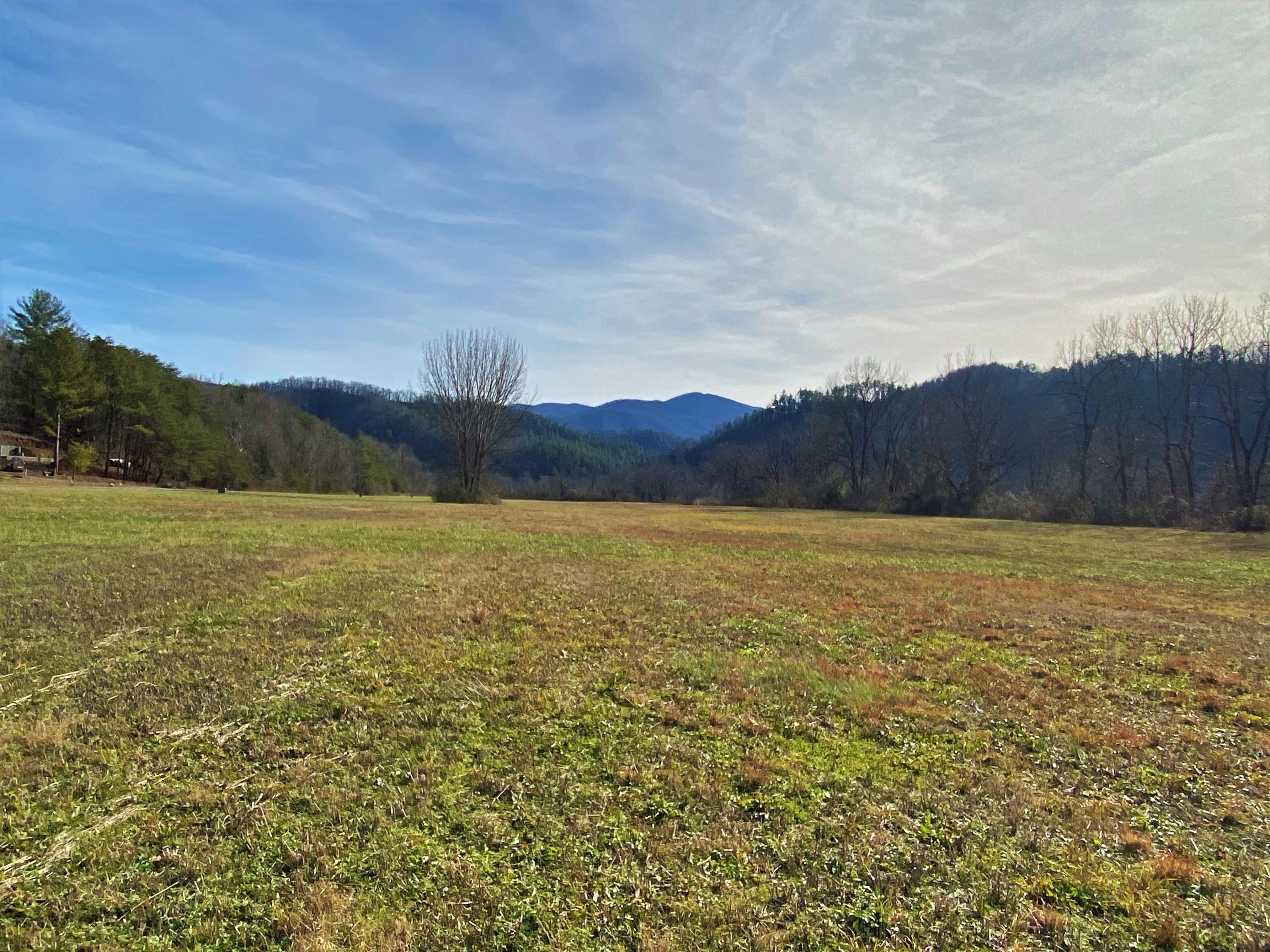 - River Rapids Way, Unit 25 Del Rio, TN 37727 - Photo 7 of 23 IMG_0897