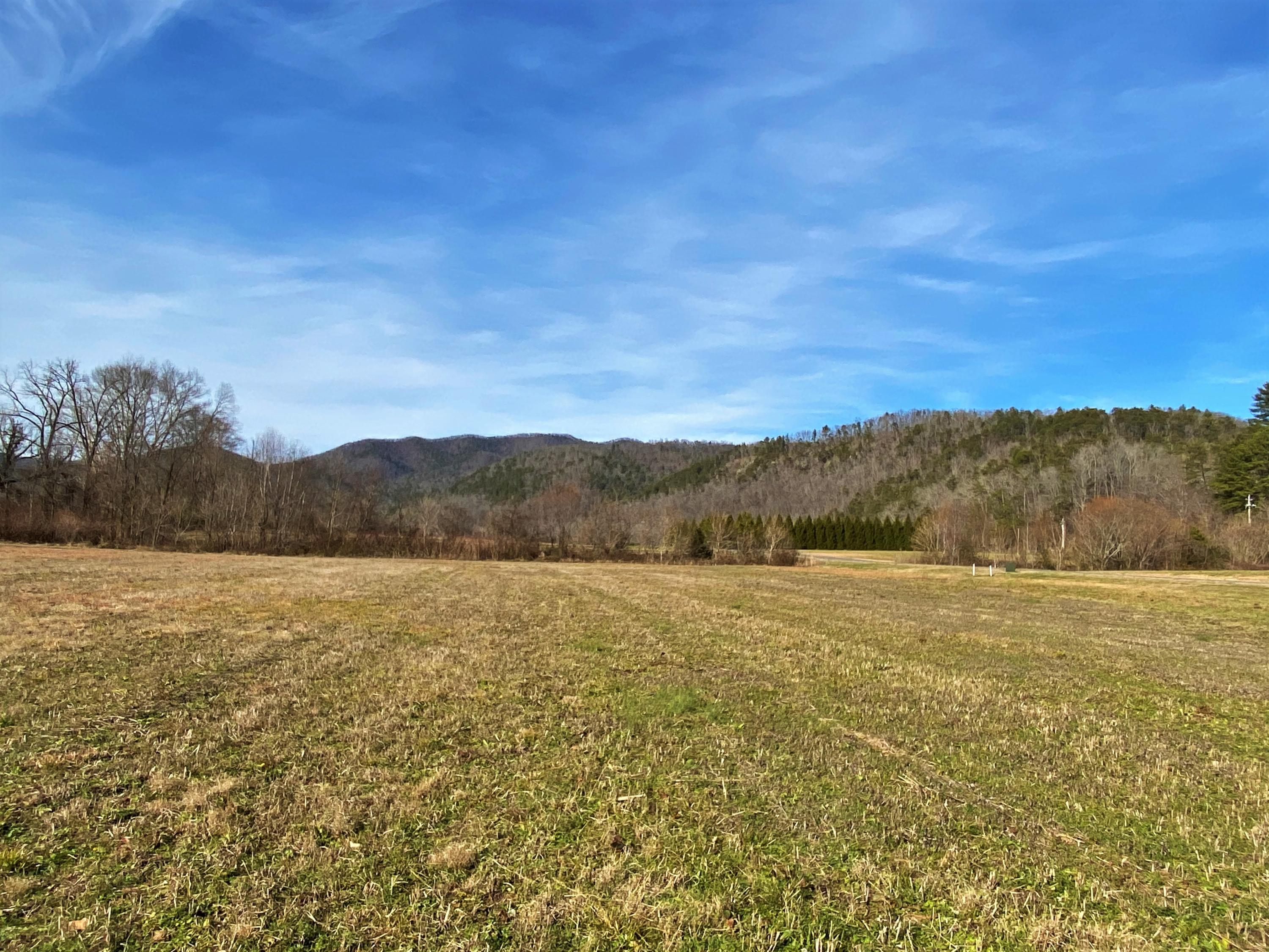 - River Rapids Way, Unit 25 Del Rio, TN 37727 - Photo 8 of 23 IMG_0898