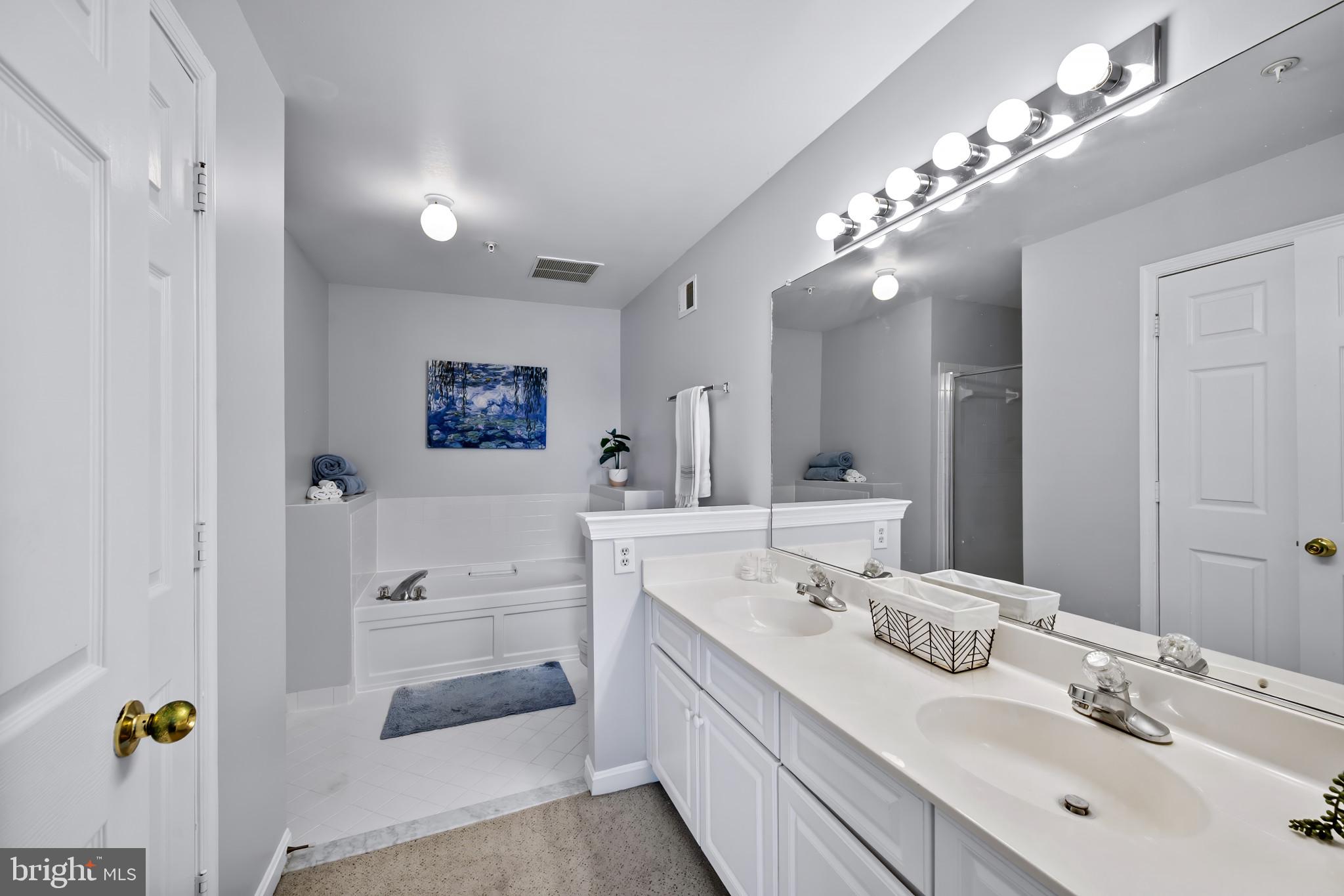 6789 Stone Maple Terrace Centreville, VA 20121 - Photo 13 of 25 Primary Bath