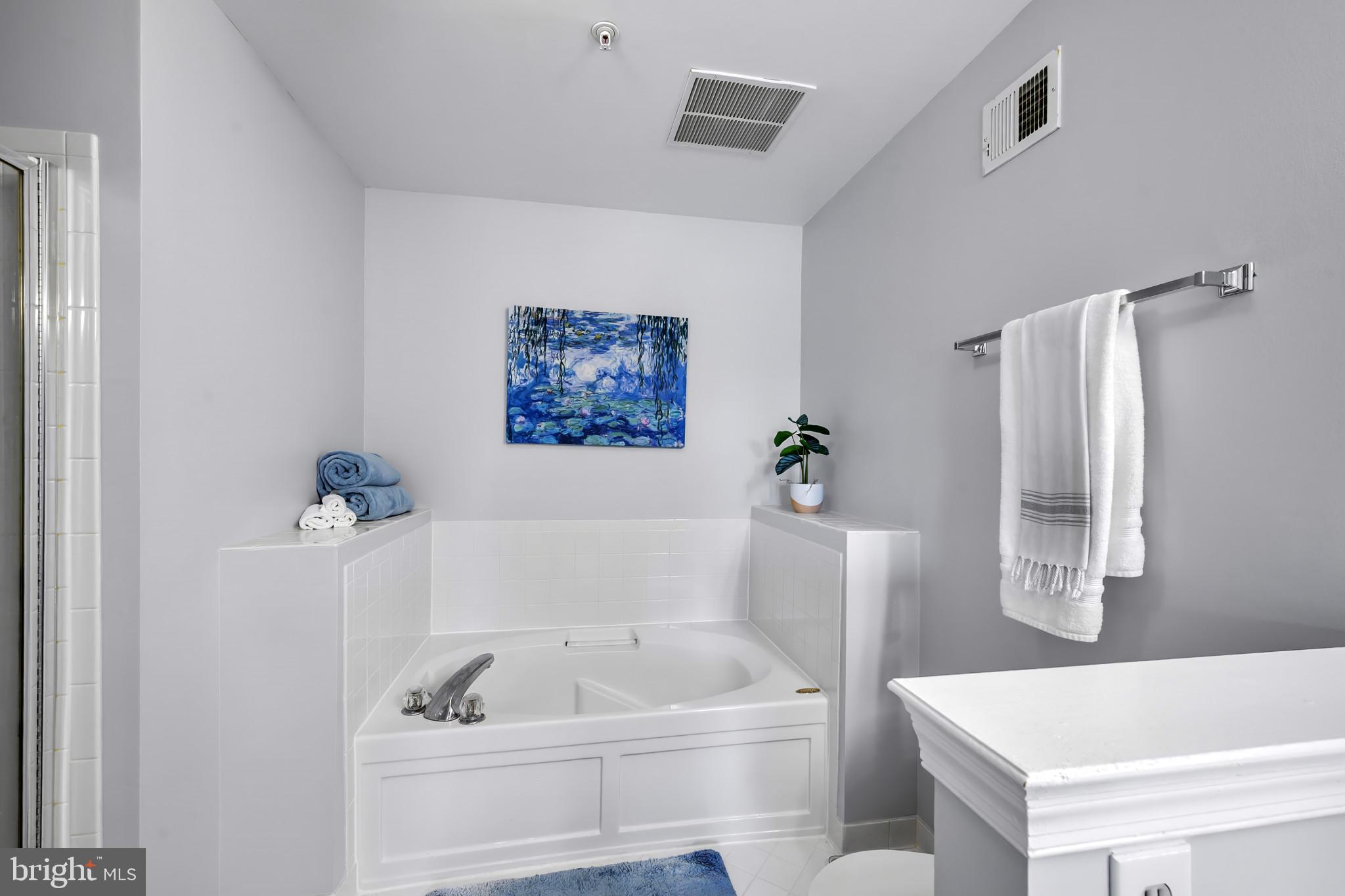 6789 Stone Maple Terrace Centreville, VA 20121 - Photo 14 of 25 Primary Bath