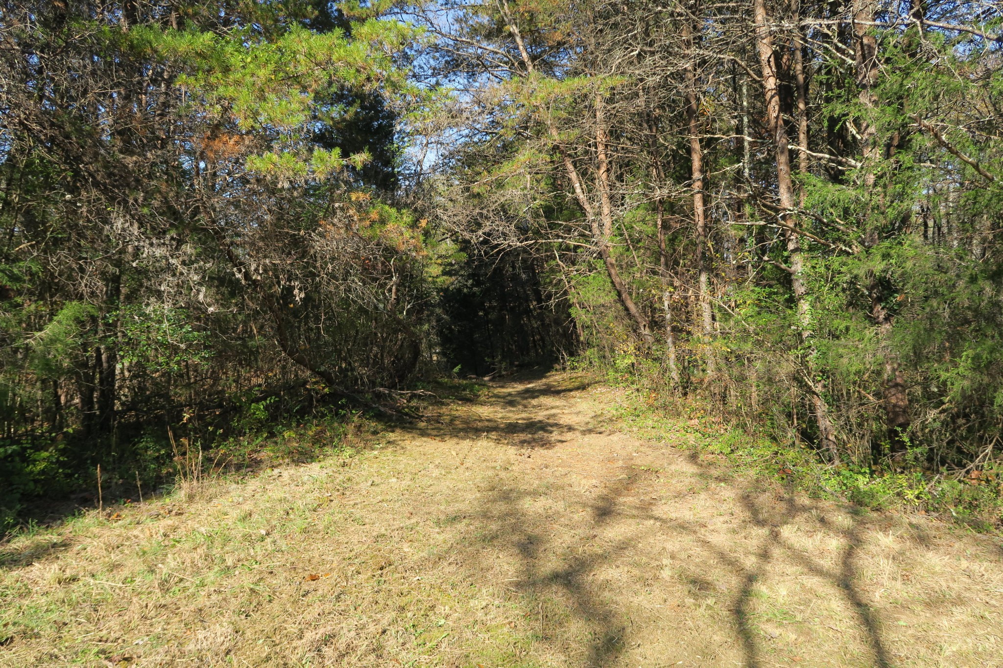 4461 Floyd Lee Road Friendsville, TN 37737 - Photo 20 of 35 Gallery Image 20