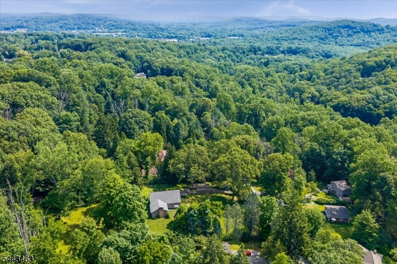 45 Gristmill Road Randolph, NJ 07869 - Photo 32 of 34